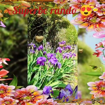 Très belle rando super ambiance bravo à tous