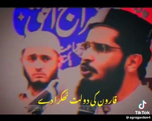اٹھ شیر مجاہد