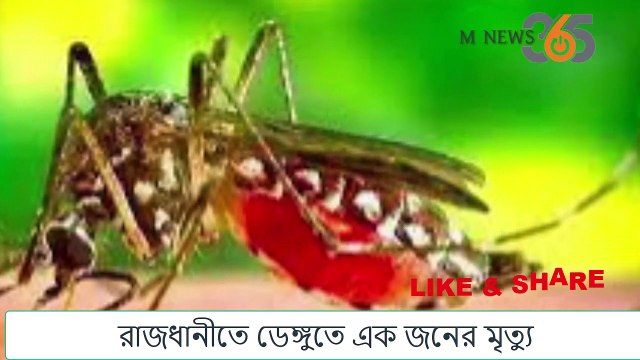রাজধানীতে ডেঙ্গুতে ১ জনের মৃত্যু