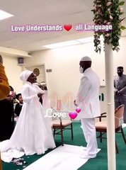 Love understands all languages