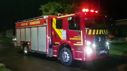 Árvore cai no Santa Cruz e mobiliza Corpo de Bombeiros