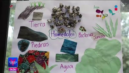 Construyen humedales artificiales como una solución a los problemas de agua en Cuajimalpa