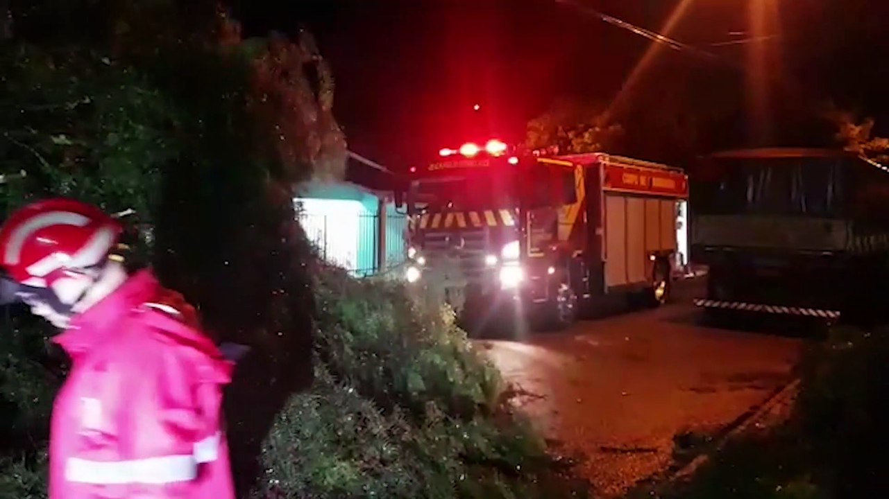 Árvores são arrancadas pela raiz durante temporal em Cascavel