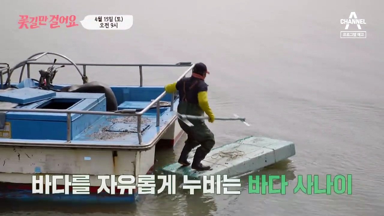[예고] 바다를 자유롭게 누비는 바다 사나이! 평생 고생만 한 주인공에게 꽃길이 펼쳐질 수 있을까?
