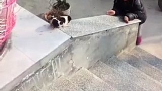 Cute boy playing with puppy