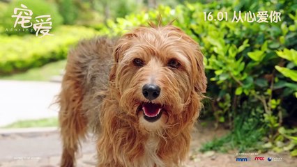 Adoring Bande-annonce (EN)