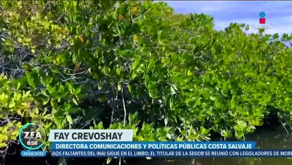 Mujeres luchan contra el cambio climático trabajando en la reforestación de manglares