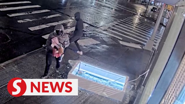 Thieves smash and grab Hermes bags worth US$242K