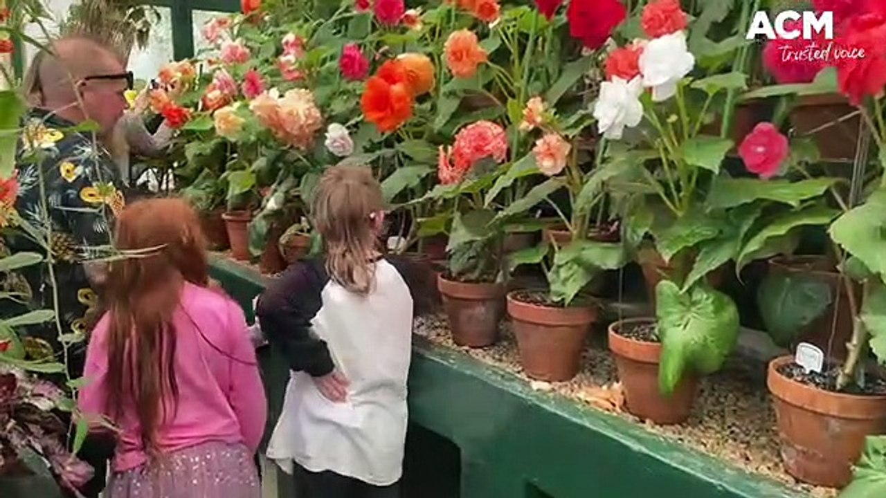 Begonia House