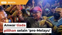 Anwar tiada pilihan selain tampil pro-Melayu, kata penganalisis