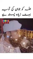 Allah ko jawan ki touba bht zeada pasand hai _ Saqib Raza Mustafai Latest Short Clip #deenimedia