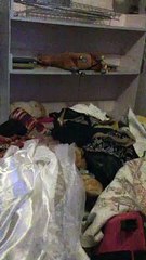 Bailey's House Homestesd, FL Before 2020