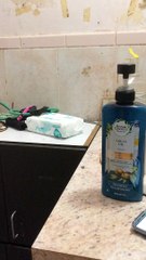 Bailey's House Homestesd, FL Before 2020