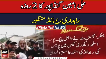 Bakhar magistrate rejects physical remand of Ali Amin Gandapur