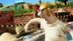 Shaun the Sheep Shaun the Sheep E097 – Prickly Heat