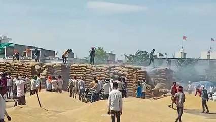 गर्मी शुरू होते ही बढ़ी आगजनी की घटनाएं, नौलाइयों में भी लगती रहती है आग