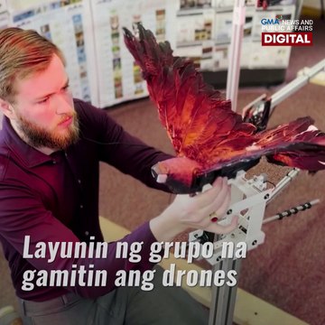 Mga patay na ibon, ginagawang drones | GMA News Feed