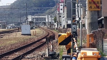 貨物列車2084レとその161号車を撮影🚆