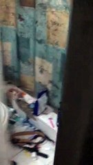 Bailey's House Homestesd, FL Before 2020