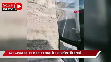 Ayı yavrusu, köy yolunda cep telefonu ile görüntülendi