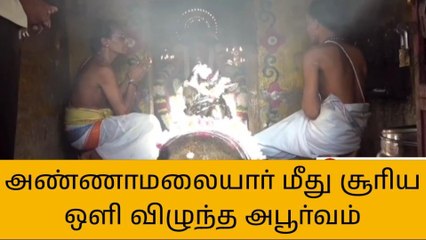 தி.மலை: அண்ணாமலையார் கோவிலில் மூலவர் மீது சூரிய ஒளி படும் அபூர்வ நிகழ்வு :