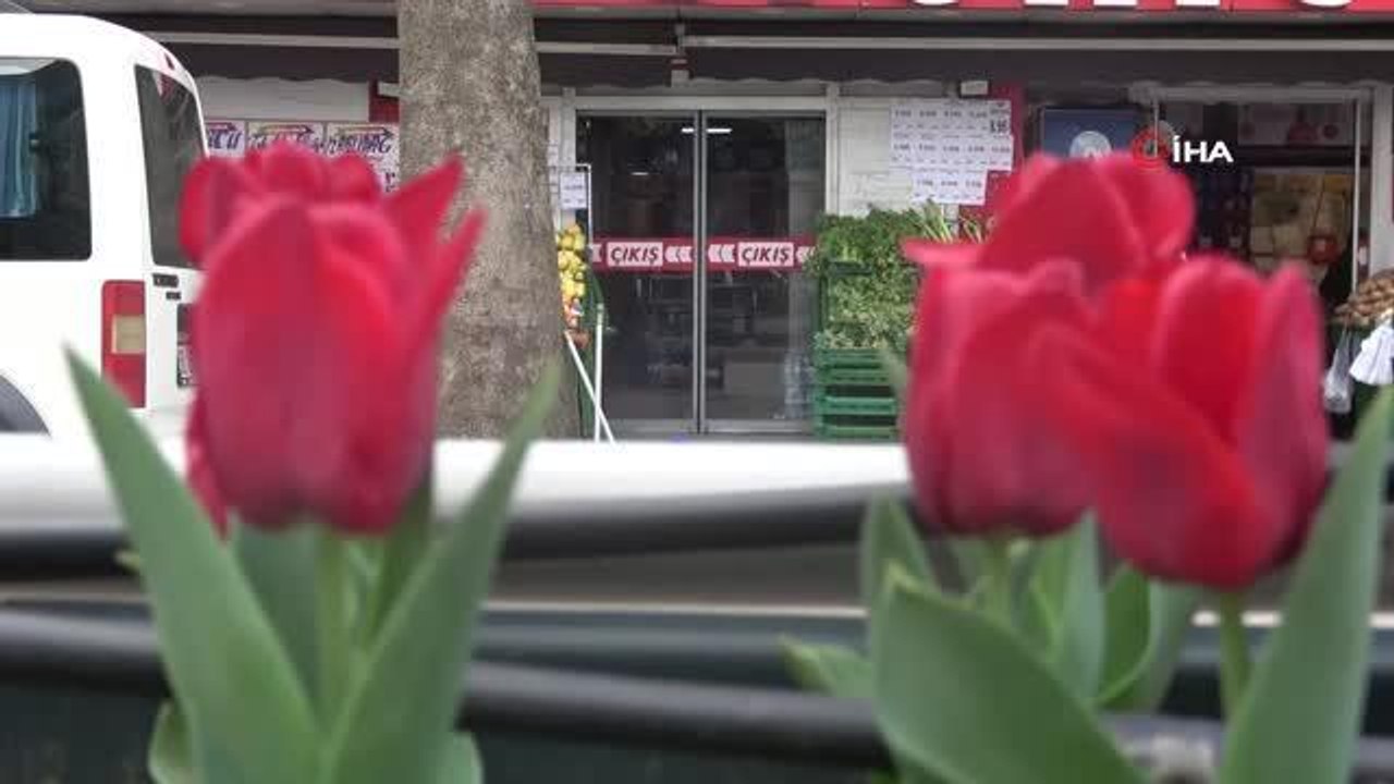 Caddeler laleler ile donatıldı, oluşan görsel şölen dikkat çekti