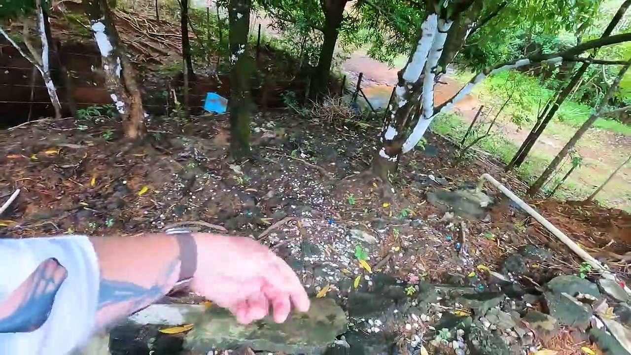 Jungle Fishing & Camping Survival on Remote Beach in Panama (CATCH CLEAN COOK) - Part 1