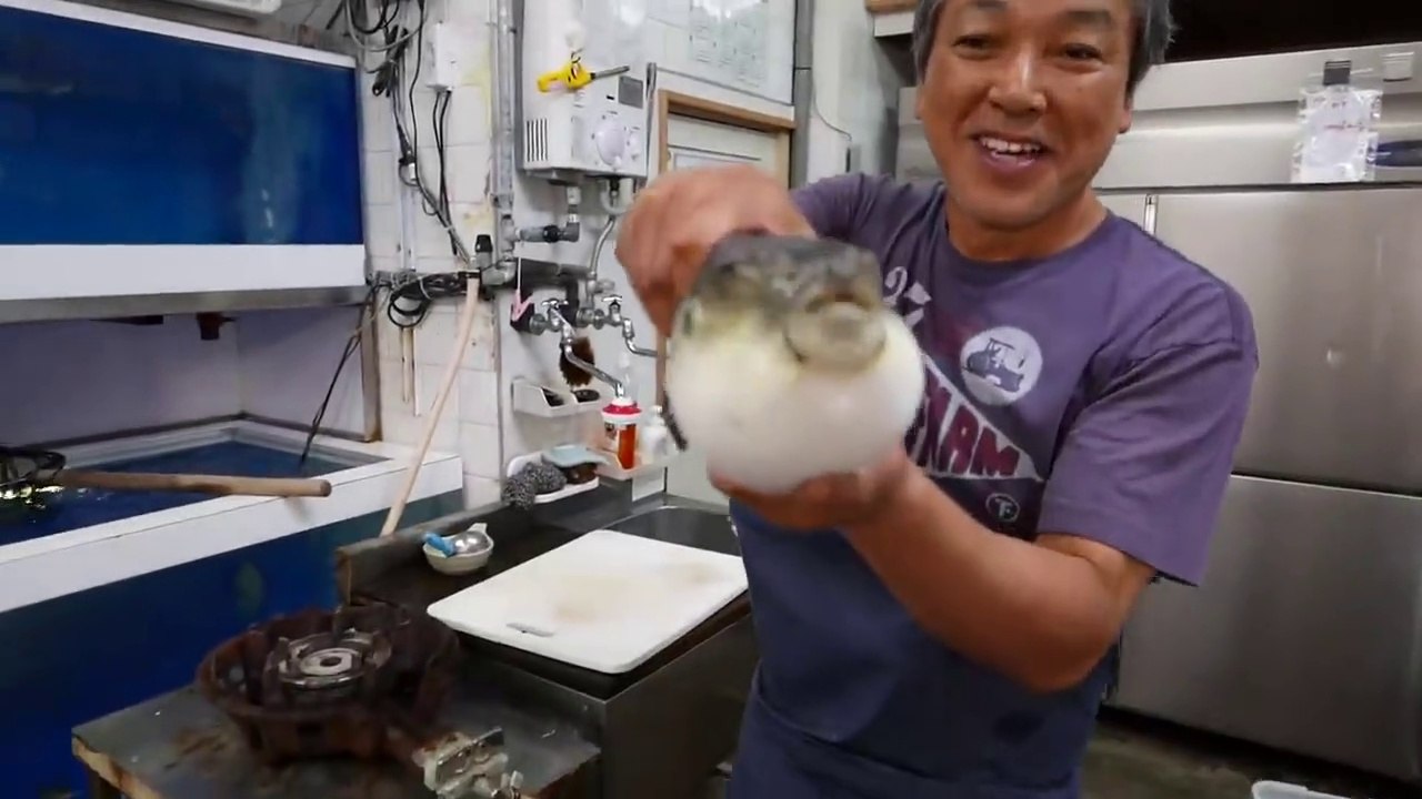 Japanese Street Food - LIVE FUGU PUFFERFISH Puffer Fish Japan