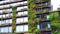 Green Buildings - The Future of Construction