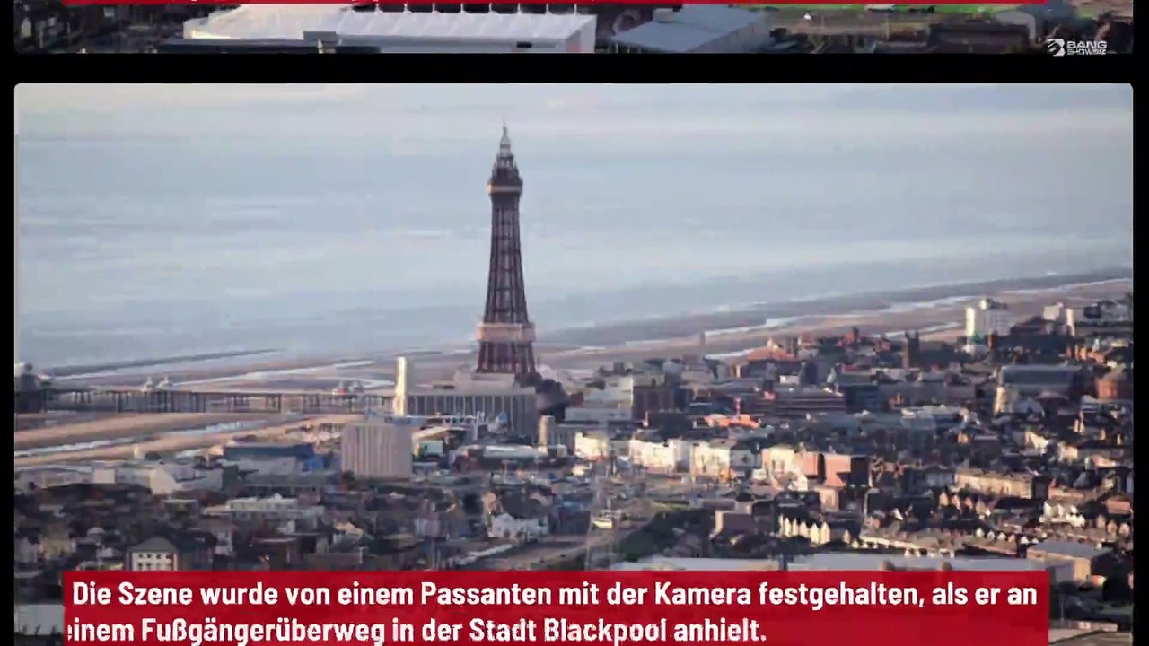 Mann führt seine Möwe aus