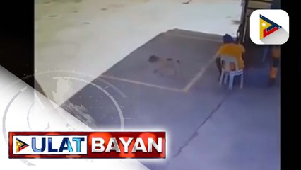 Sanggol sa Zamboanga del Norte, patay matapos lapain ng aso