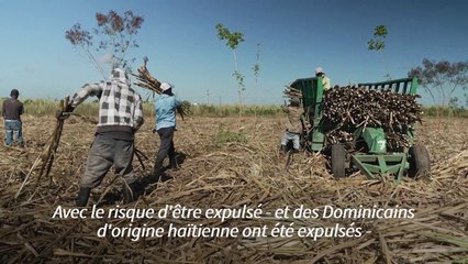 Ni Dominicain, ni Haïtien: dans les limbes administratifs... et la pauvreté