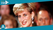 Lady Diana : William et Harry en deuil, ils ont perdu un membre cher de la famille de leur mère