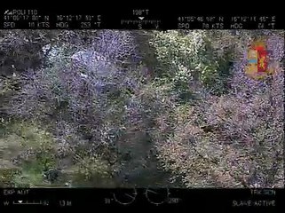 Andria: elicottero individua due jaguar e un furgone rubati - video diffuso dalla Questura