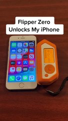 Flipper-Zero (Un réel problème)