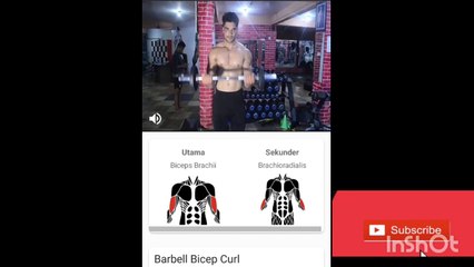 Cara membentuk otot BISEPS
