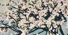 Sweet Magnolias S02 E08