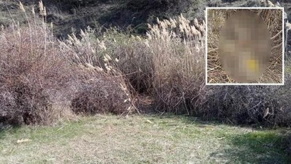 Ankara'da kafası koparılmış 45 günlük ceset bulundu