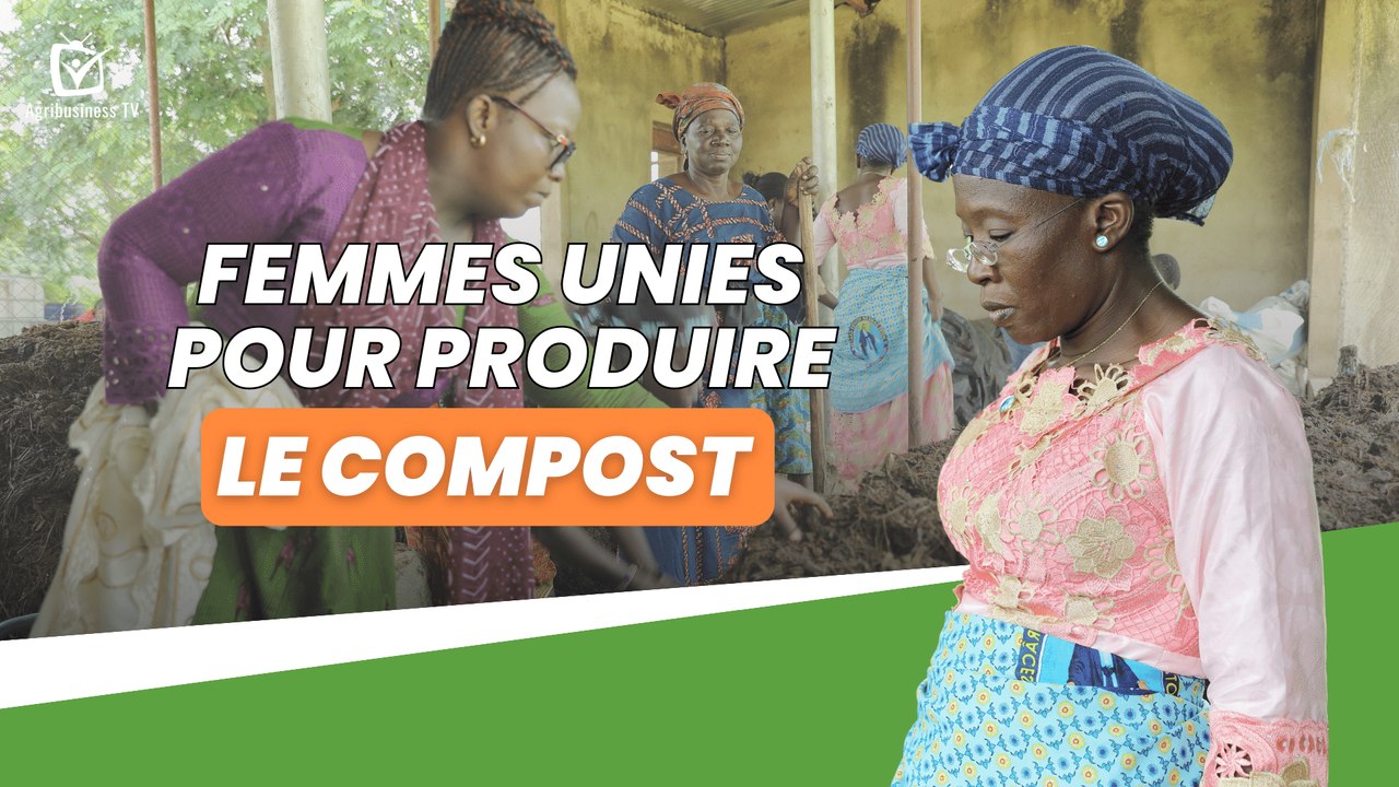 Burkina Faso : Femmes unies pour produire le compost