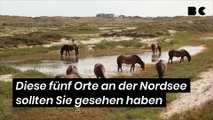 Diese fünf Orte an der Nordsee sollten Sie gesehen haben