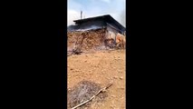 Watch video: Fire broke out in Ratlam, four children.....