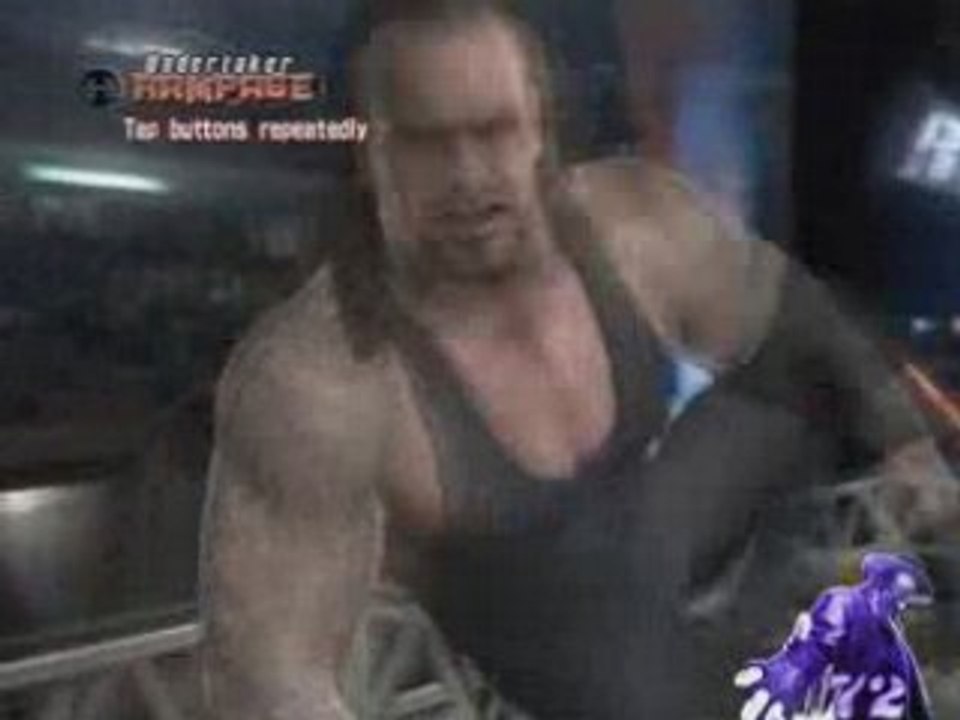 hell in cell des brothers of destruction (SvsR08)