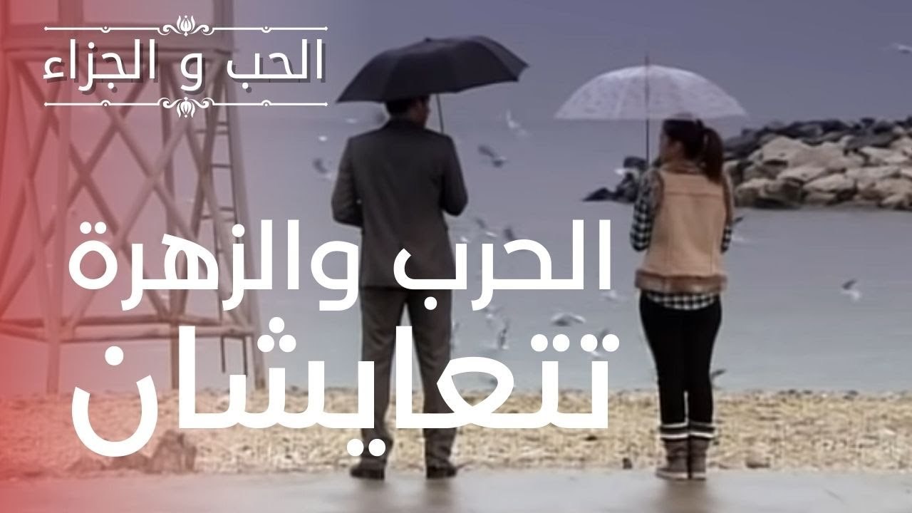 الحرب والزهرة تتعايشان | مسلسل الحب والجزاء  - الحلقة 5