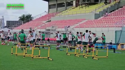 ¿Tigres no apoya a la Selección Mexicana por capricho?