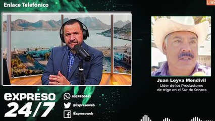 La crisis de los productores de trigo en Sonora | Expreso 24/7