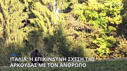Ιταλία: Η επικίνδυνη σχέση της αρκούδας με τον άνθρωπο