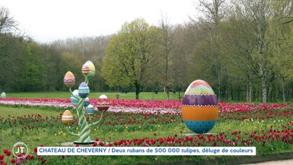 CHÂTEAU DE CHEVERNY / Deux rubans de 500 000 tulipes, déluge de couleurs
