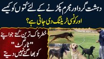 Criminal Ko Pakarne Ke Lie Dog Ko Kaise Traning Di Jati? Dangerous Dog Jo Target Ko Bhagane Nai Dete