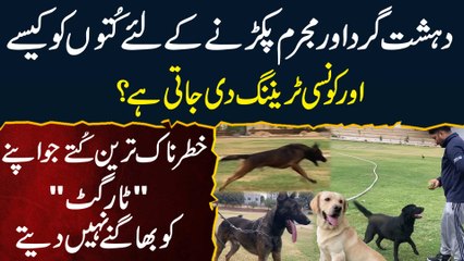 Criminal Ko Pakarne Ke Lie Dog Ko Kaise Traning Di Jati? Dangerous Dog Jo Target Ko Bhagane Nai Dete