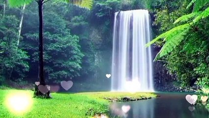 the birds singing forest and music waterfall of electricity in 1 hour(360P)